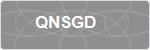 QNSGD