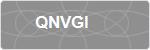 QNVGI
