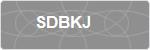 SDBKJ