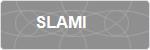 SLAMI