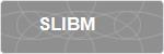 SLIBM