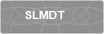 SLMDT