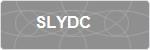 SLYDC
