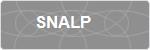 SNALP