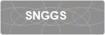 SNGGS