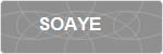 SOAYE
