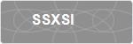 SSXSI