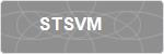 STSVM