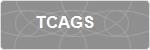 TCAGS