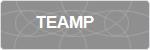 TEAMP