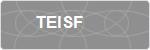 TEISF