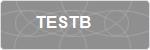 TESTB