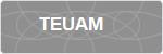 TEUAM