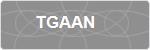 TGAAN