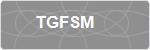 TGFSM
