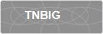 TNBIG