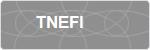 TNEFI