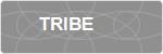 TRIBE