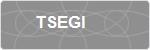 TSEGI