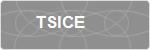 TSICE