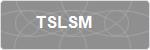 TSLSM