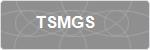 TSMGS