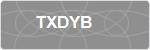 TXDYB
