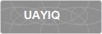 UAYIQ