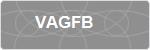VAGFB