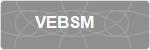 VEBSM