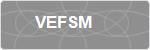 VEFSM