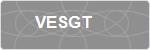 VESGT