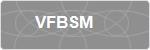 VFBSM