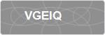 VGEIQ