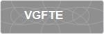 VGFTE