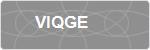 VIQGE
