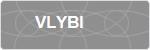 VLYBI