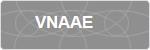 VNAAE