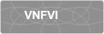VNFVI