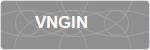 VNGIN