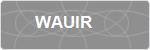 WAUIR