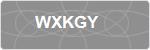 WXKGY