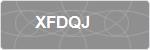 XFDQJ