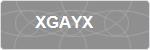 XGAYX