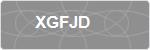 XGFJD