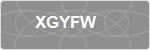XGYFW