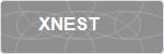 XNEST