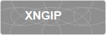 XNGIP