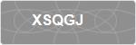 XSQGJ