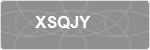 XSQJY